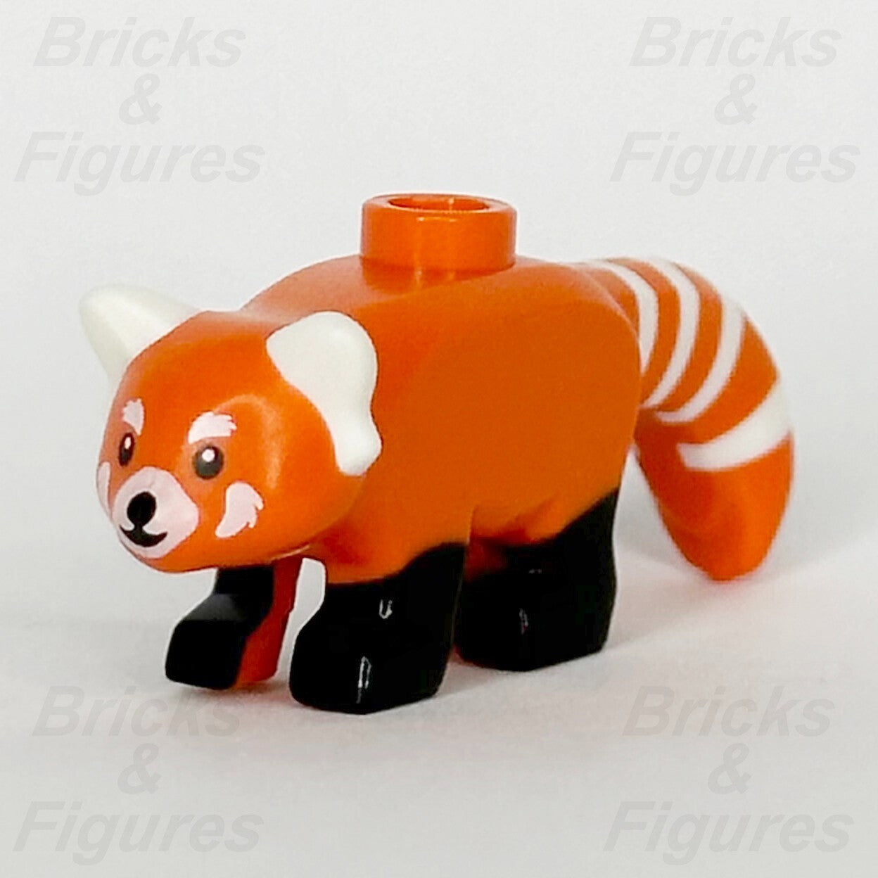 LEGO® City Red Panda Animal Minifigure Part Jungle 60424 71486 71481 106597pb010