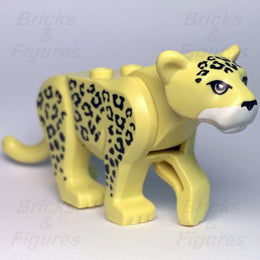 varientimages