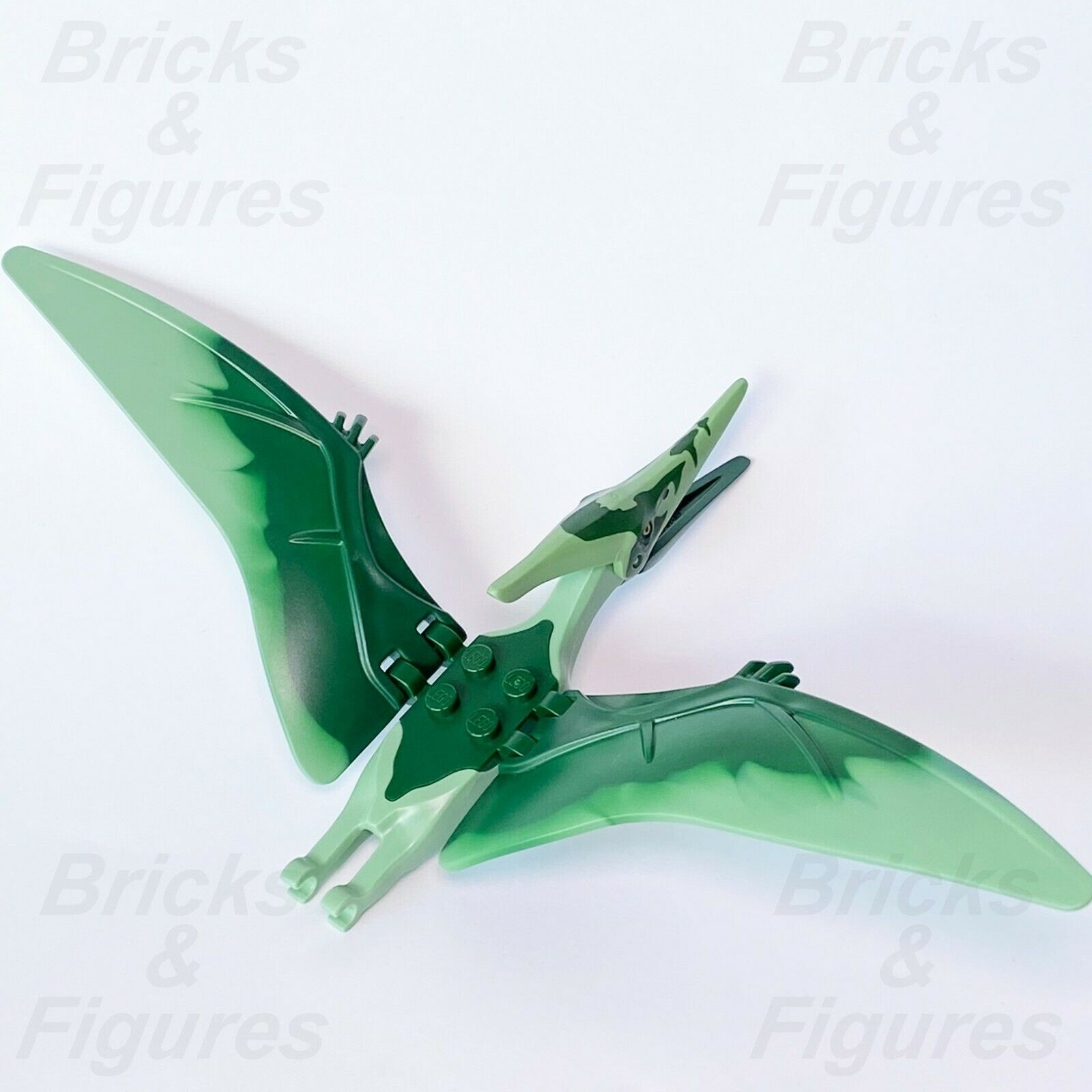 New Jurassic World LEGO Pteranodon with Dark Green Markings Dinosaur 75940 - Bricks & Figures