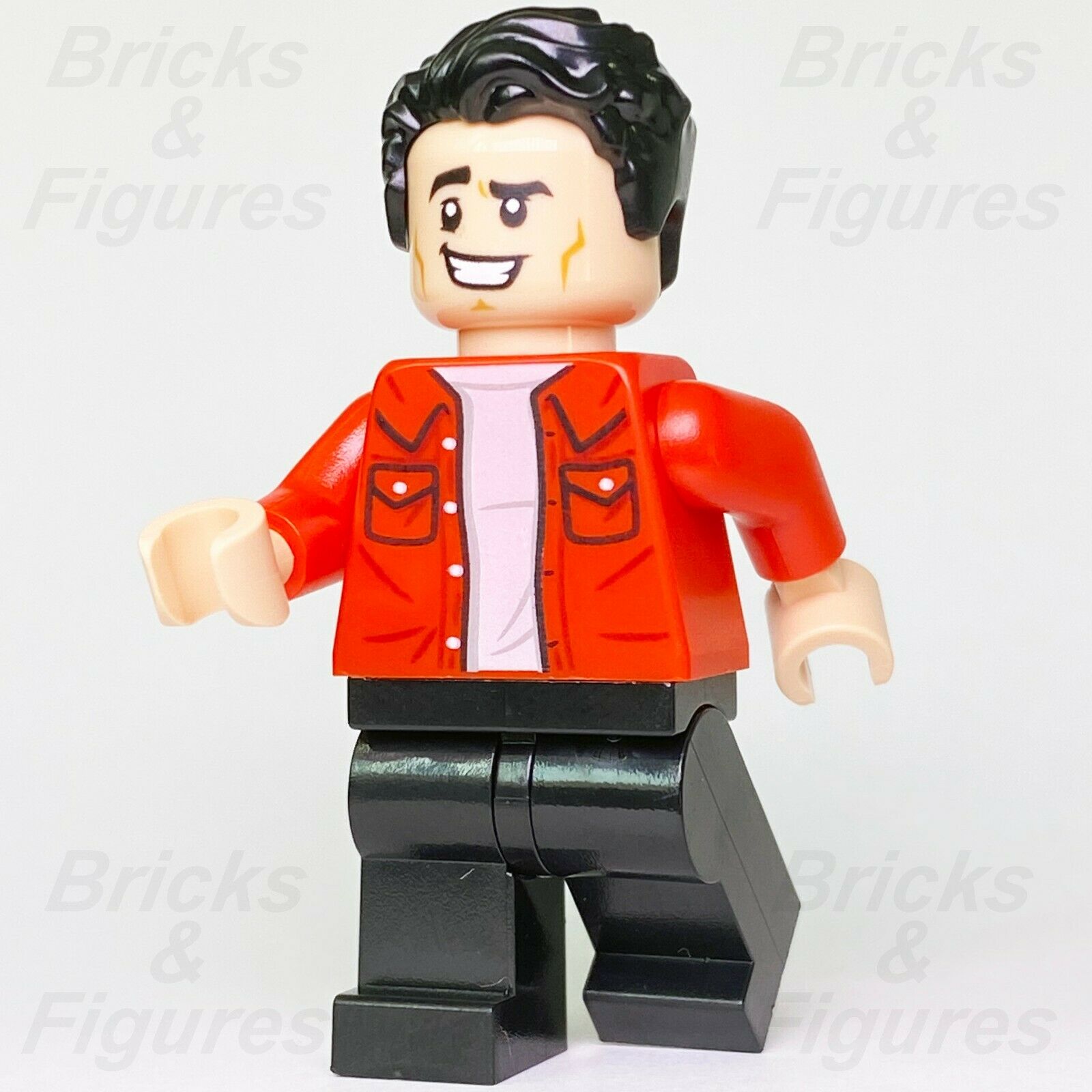 LEGO Friends TV Series Minifigures