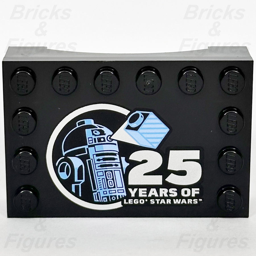 LEGO 25 Years of Star Wars Pattern Minifigure Stand Modified Tile 4 x 6 Part0