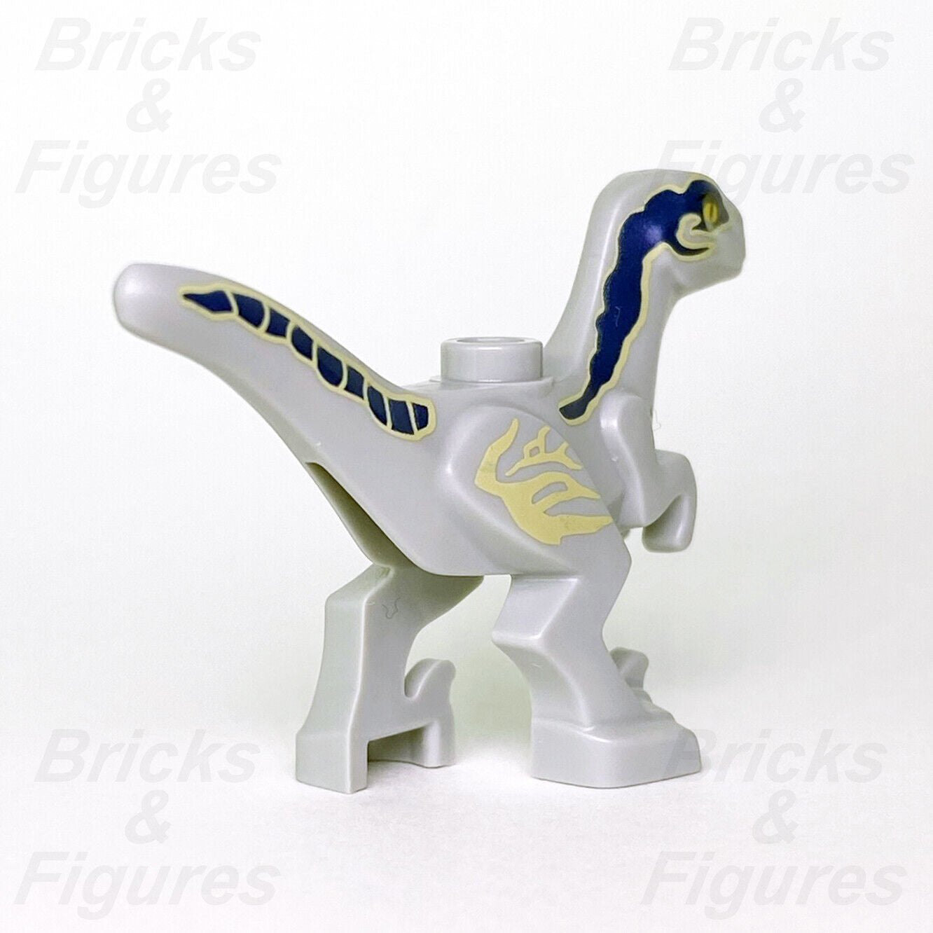 New Jurassic World LEGO Beta Baby Raptor Blue Dinosaur Minifigure Part 76946 - Bricks & Figures